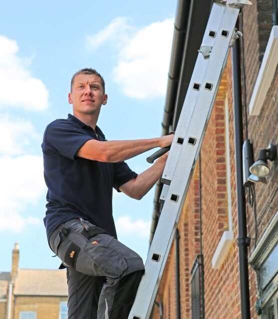 Domestic Security Sutton